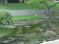 1655259635056 Stormwater5