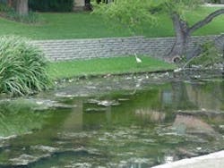 1655259635056 Stormwater5 1655259635056 Stormwater5