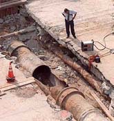 1655260106262 Image0181