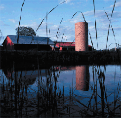 1655260106356 0510barn
