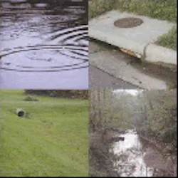 1655260108949 Collage 1655260108949 Collage