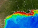 NOAA Announces Gulf of Mexico Dead Zone Size Stormwater Solutions
