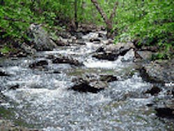 1655260121153 Flowing Stream 1655260121153 Flowing Stream