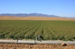 1655260122321 Groundwater 1655260122321 Groundwater