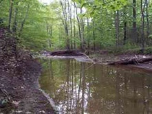 1655260123781 Euclidcreek2