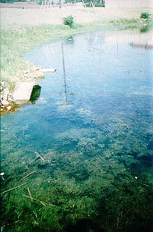 Center for Watershed Protection Releases Storm Water Monitoring