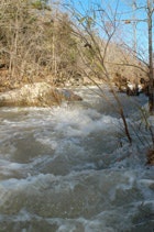 1655260131542 Dmckenzie Creek 2