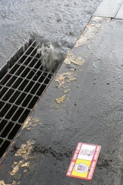 1655260132197 Storm Water Runoffresized 1655260132197 Storm Water Runoffresized