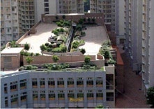 1655260135313 Greenroof