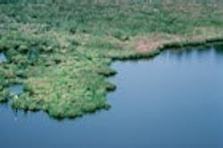 1655260137782 Chesapeakebaywetlandsh2 1655260137782 Chesapeakebaywetlandsh2