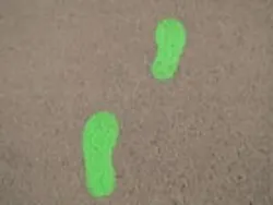 1655260143702 Green Footprints 1655260143702 Green Footprints