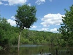 1655260144742 Iowa River 1655260144742 Iowa River