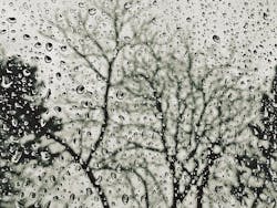 1655260145624 Rain2907366 640 1655260145624 Rain2907366 640