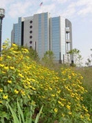 1655260146202 Parking Lot Pic Large