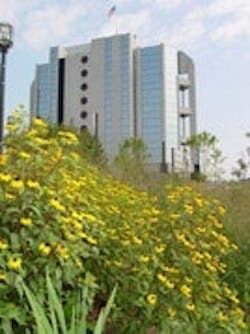 1655260146202 Parking Lot Pic Large 1655260146202 Parking Lot Pic Large