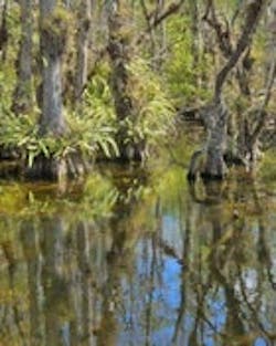 1655260147296 Picayune 1655260147296 Picayune