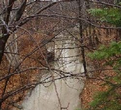 1655260147968 Longcrphoto4 1655260147968 Longcrphoto4