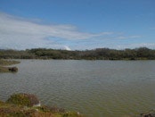 1655260148504 Hi Water1