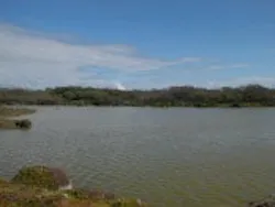 1655260148504 Hi Water1 1655260148504 Hi Water1