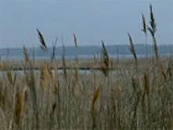 1655260156987 223462main Chesbay1 20080422 226 1655260156987 223462main Chesbay1 20080422 226
