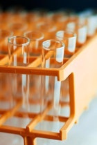 1655260160257 1256556 15112567