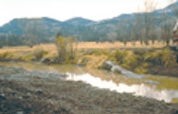 1655260173949 Bufferbadimg065 1655260173949 Bufferbadimg065