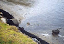 1655260177535 Stormwaterpollution1 1655260177535 Stormwaterpollution1