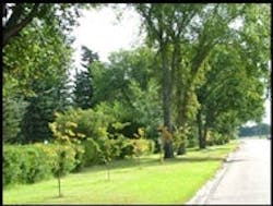 1655260178648 Stormwatertrees 1655260178648 Stormwatertrees