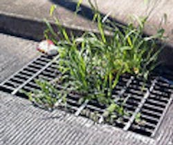 1655260182059 234 1655260182059 234