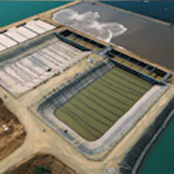 1655260182365 Swn Photo 1655260182365 Swn Photo