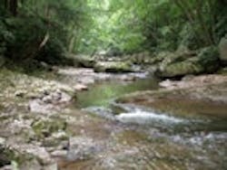 1655260186168 Bear Creek 1 1655260186168 Bear Creek 1