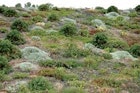1655260186504 Green Roof3