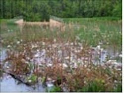 1655260191140 Untitled12 1655260191140 Untitled12