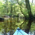 1655260191209 Kayak2