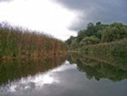 1655260192570 Wetlands1sm 1655260192570 Wetlands1sm