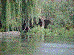 1655260209606 3 1655260209606 3