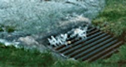 1655260210698 Sw Homepageimage 1655260210698 Sw Homepageimage