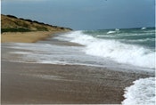 1655260212324 Beach Cc