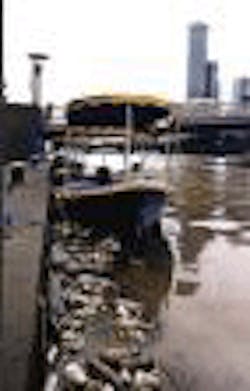 1655260213047 263 1655260213047 263