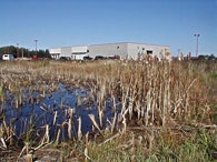 1655260215719 Wetlands1