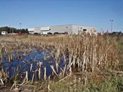 1655260215719 Wetlands1 1655260215719 Wetlands1