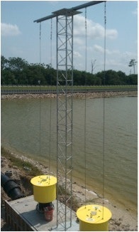 1655260222798-thirstyducktdseries