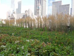 1655260226534 Greenroof 0 1655260226534 Greenroof 0