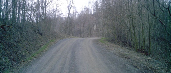 1655260227932 Logging Road Slider 0