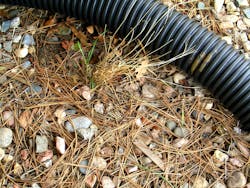 1655260232157 586476 52642776 1655260232157 586476 52642776