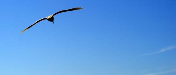 1655260238956 Bay Slider 0