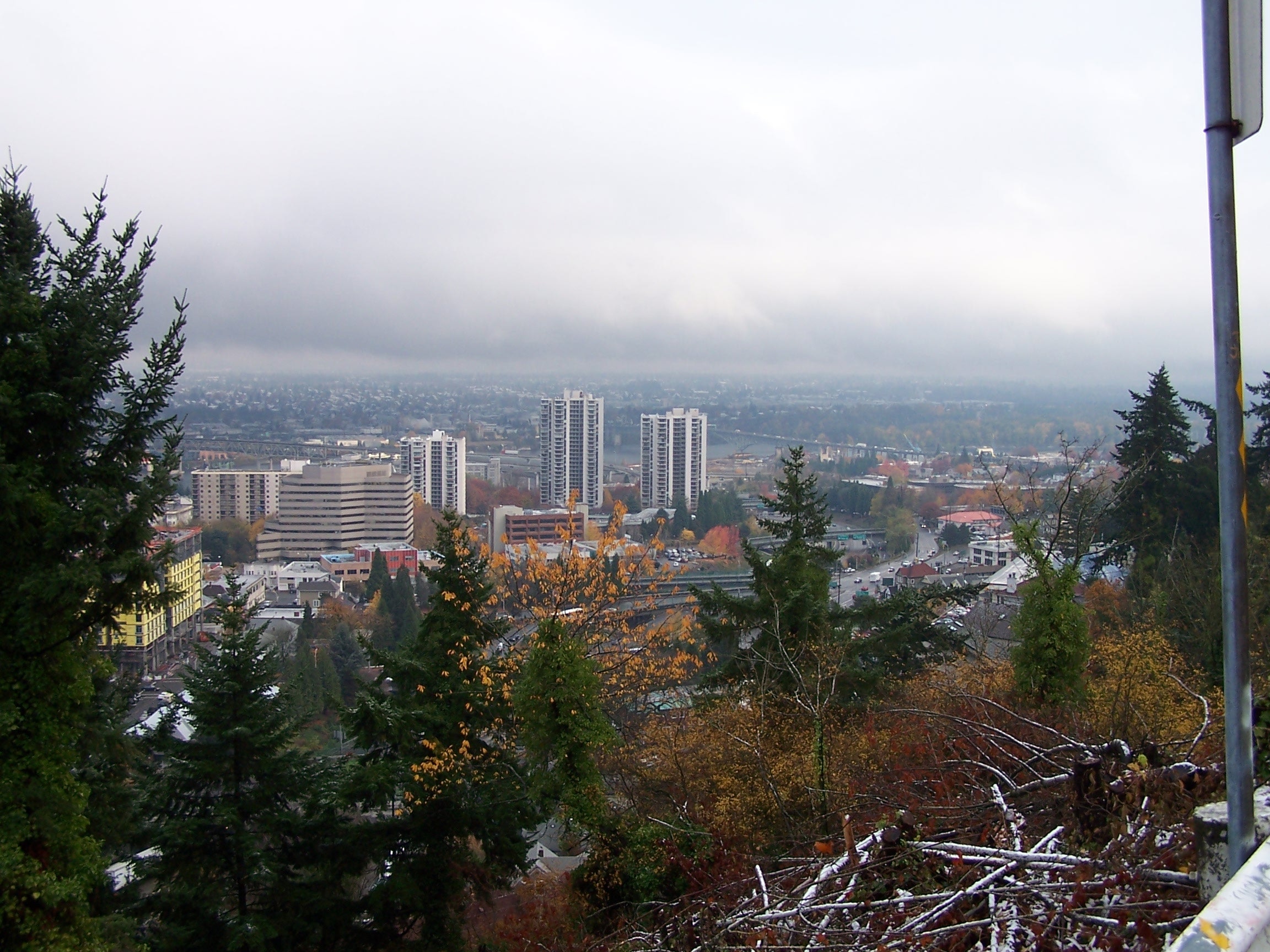 1655260248028 76482 6151