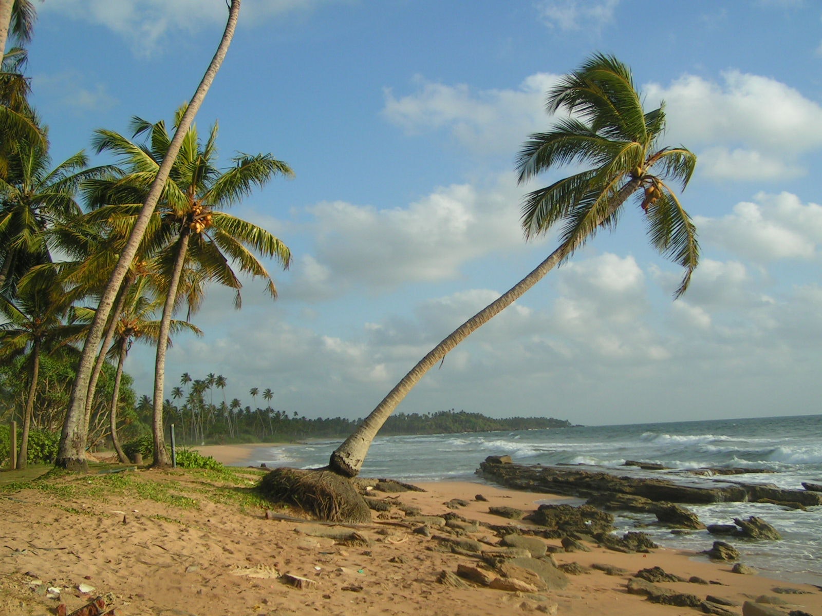 1655260256743 Srilanka