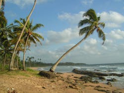 1655260256743 Srilanka 1655260256743 Srilanka