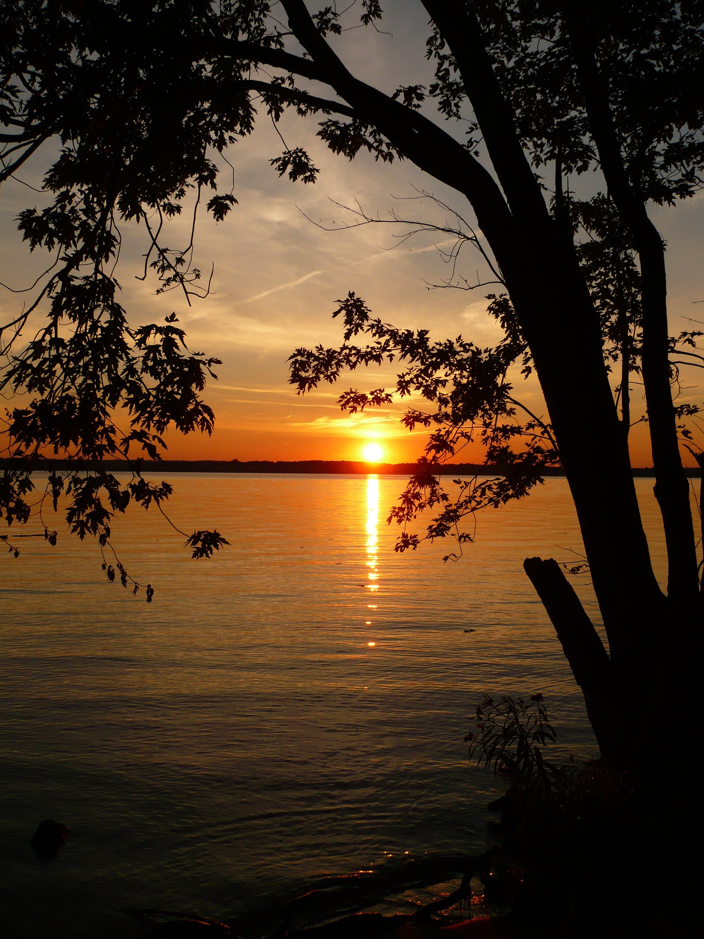 1655260258842 837653 77332550 0